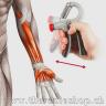 Handgrip Schema